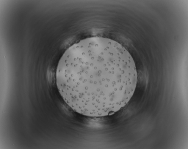 X0000086220527200704261839