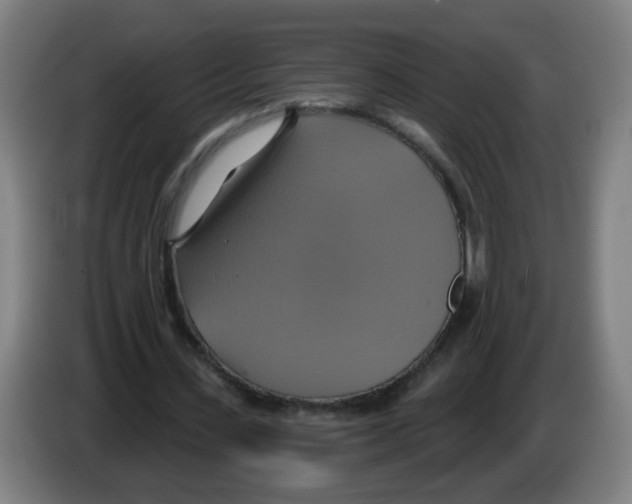 X0000086220531200704261838