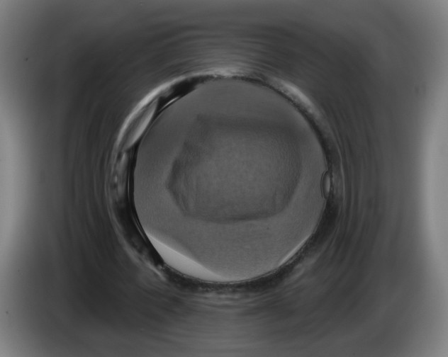 X0000086220532200704261838