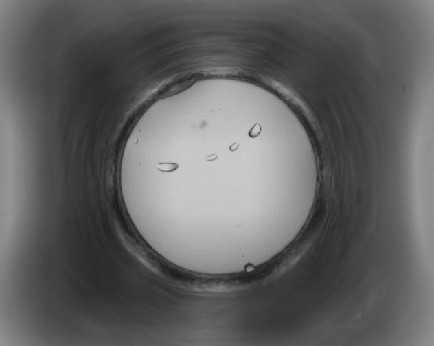 X0000086220533200704261838