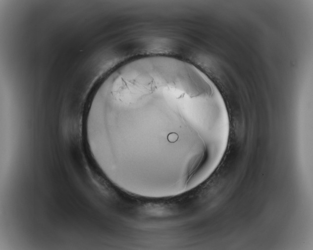 X0000086220534200704261838