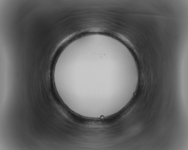 X0000086220535200704261838