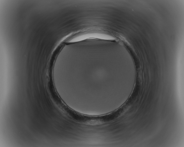 X0000086220536200704261838