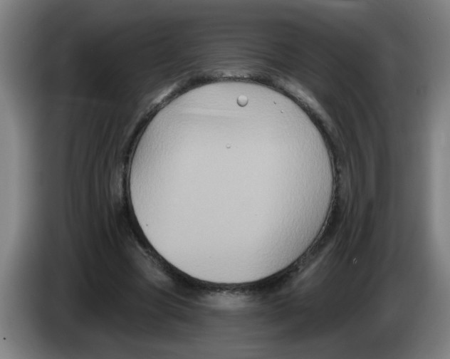 X0000086220537200704261838