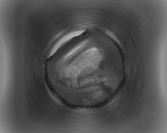 X0000086220538200704261838