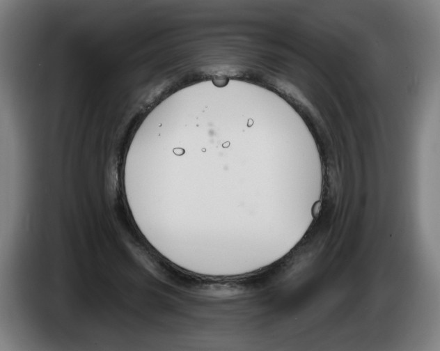 X0000086220541200704261838