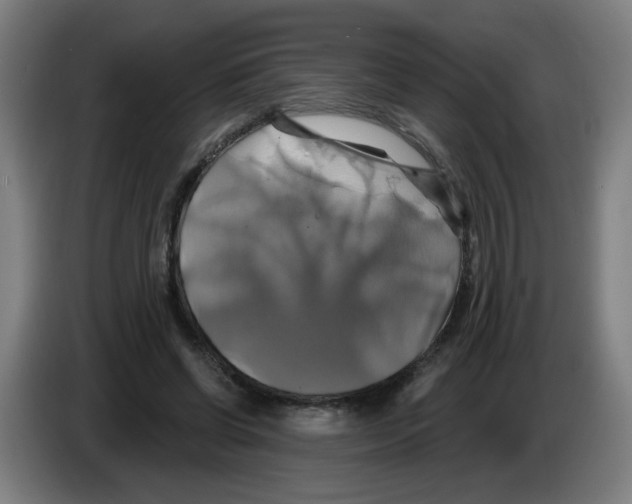 X0000086220542200704261838