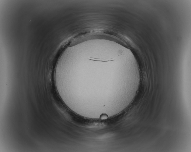 X0000086220543200704261838