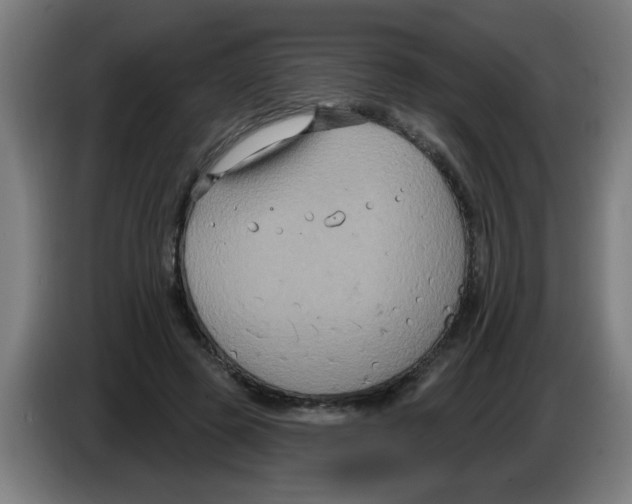 X0000086220545200704261838