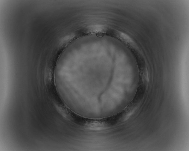 X0000086220546200704261838