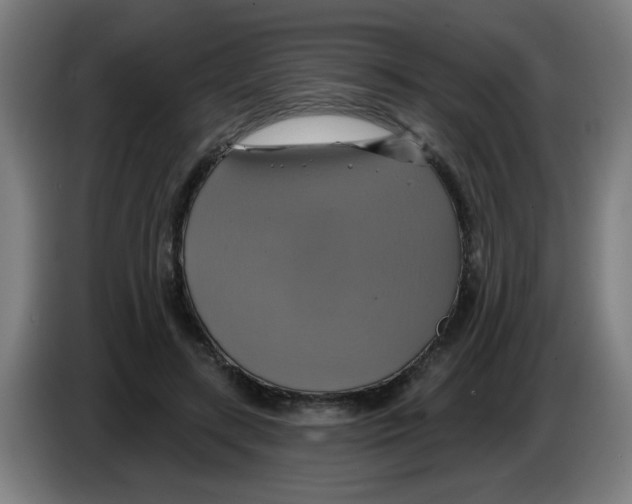 X0000086220547200704261838