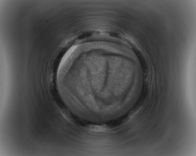 X0000086220548200704261838