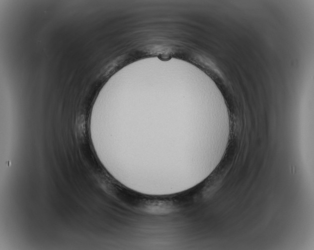 X0000086220549200704261838