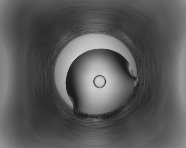 X0000086220552200704261838