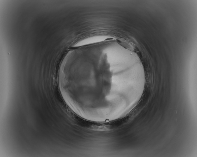 X0000086220553200704261838