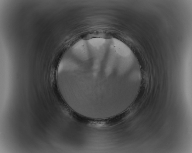 X0000086220554200704261838