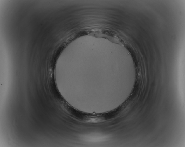 X0000086220555200704261838