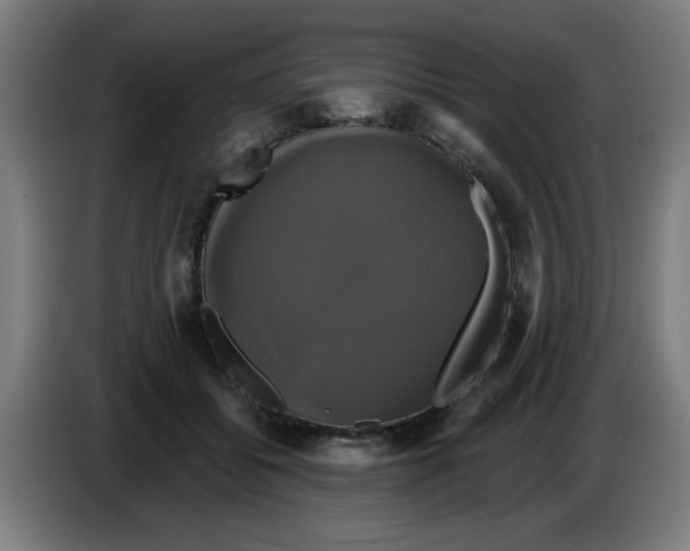 X0000086220556200704261838