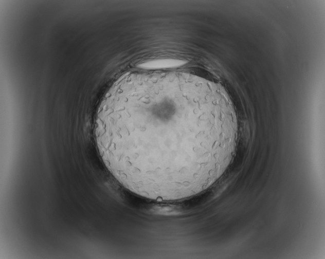 X0000086220557200704261838