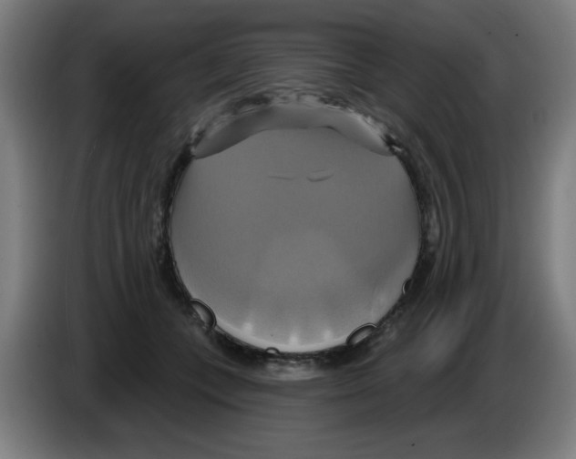 X0000086220559200704261838