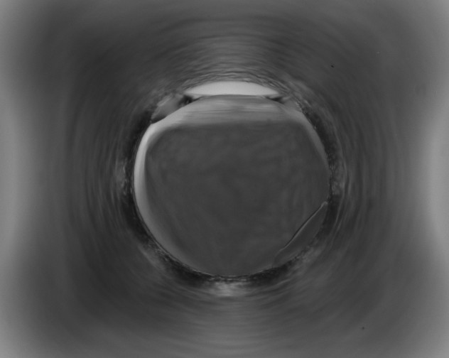 X0000086220560200704261838