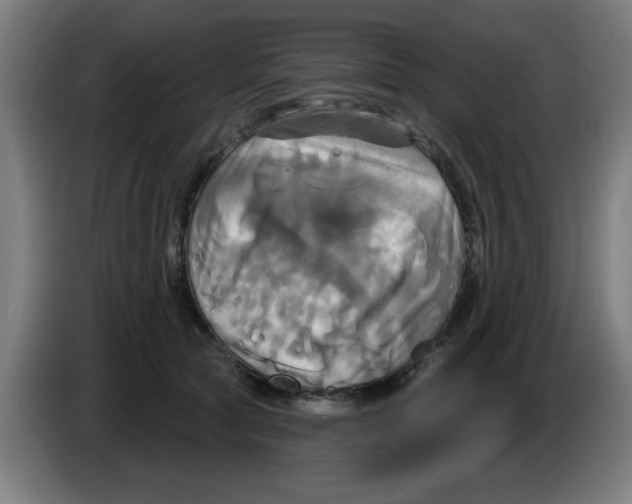 X0000086220561200704261838