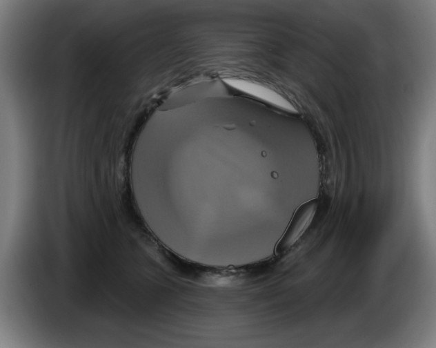 X0000086220563200704261838