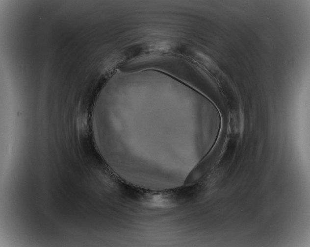 X0000086220564200704261838