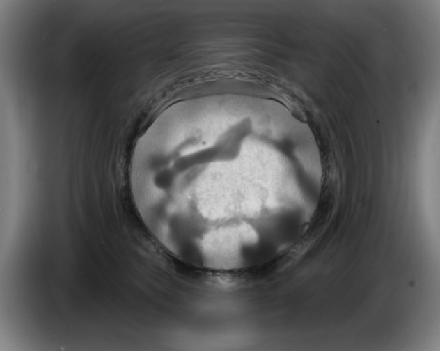 X0000086220565200704261838