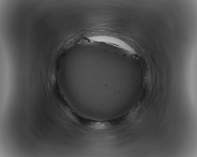 X0000086220566200704261839