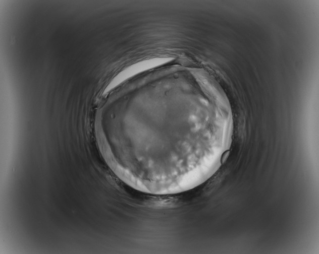 X0000086220569200704261839