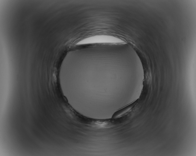 X0000086220570200704261839