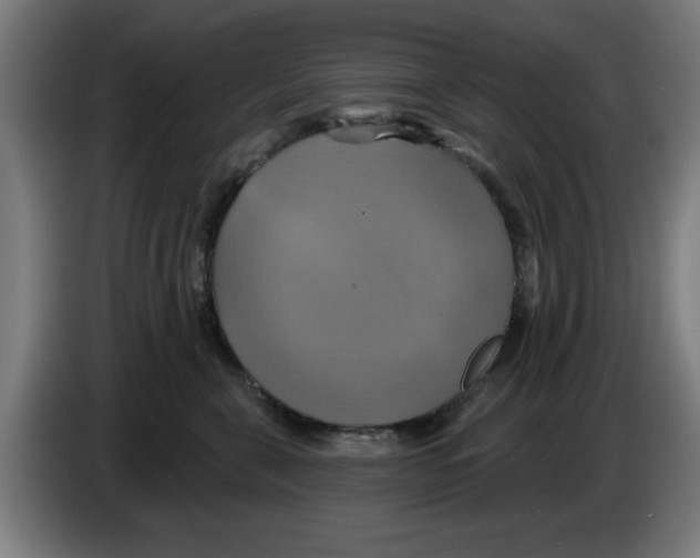 X0000086220571200704261839