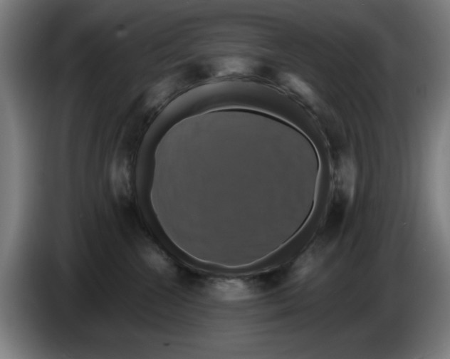 X0000086220572200704261839