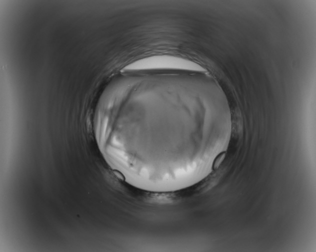 X0000086220573200704261839