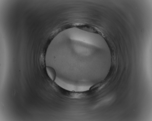 X0000086220575200704261839