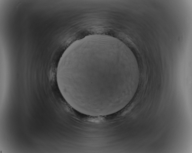 X0000086220576200704261839