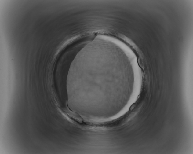 X0000086220577200704261838