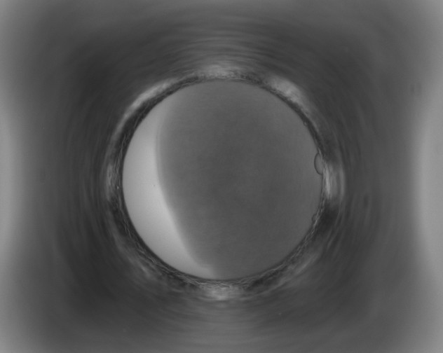 X0000086220579200704261838