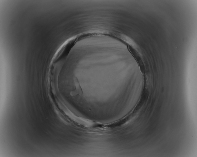 X0000086220580200704261838