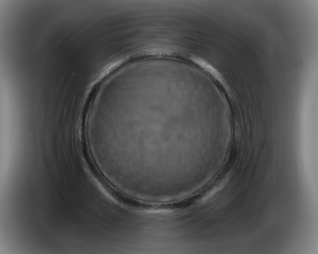 X0000086220581200704261838