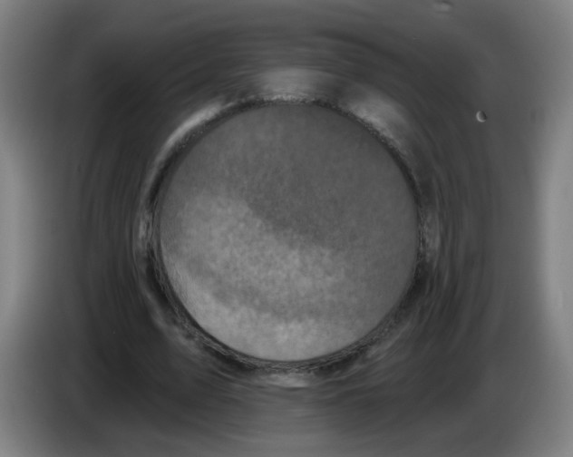 X0000086220583200704261838