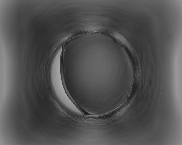 X0000086220585200704261838