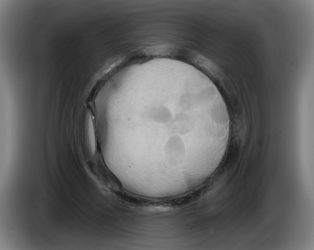 X0000086220586200704261838