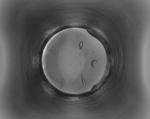 X0000086220588200704261838