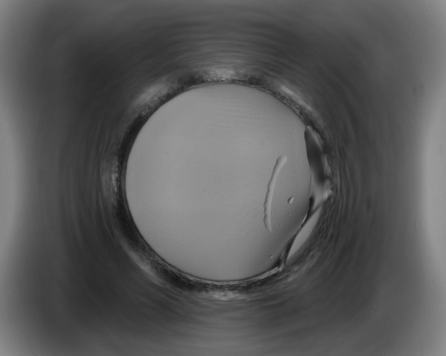 X0000086220590200704261838