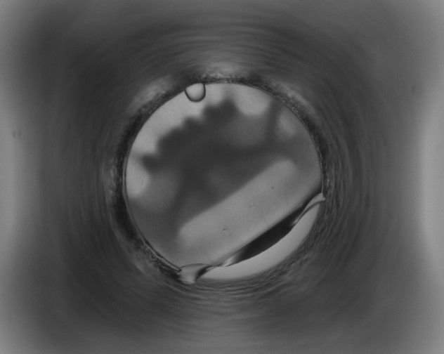 X0000086220591200704261838