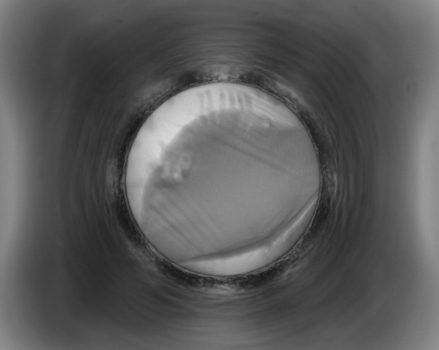 X0000086220594200704261838