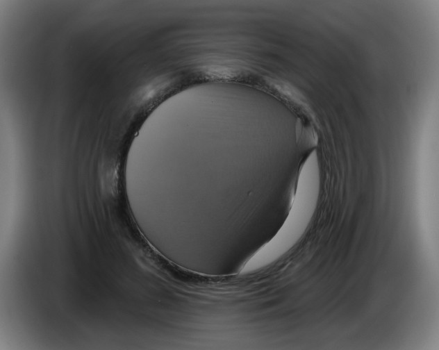 X0000086220596200704261838