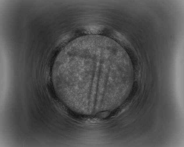 X0000086220599200704261838